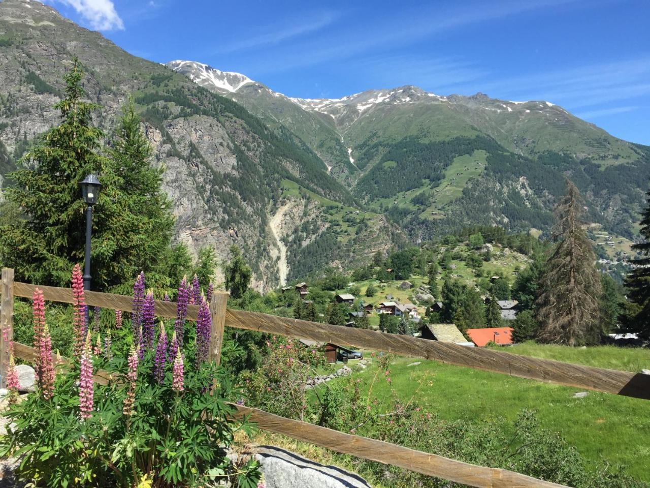 Chalet Charming Grächen Zewnętrze zdjęcie